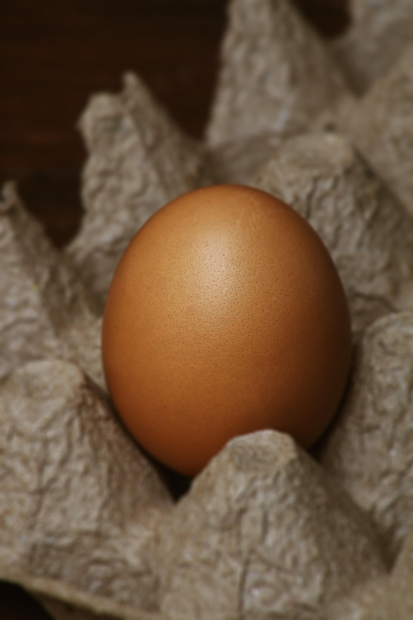 contact-img eggs, ingredients, baking, food, egg carton, raw, cooking, healthy, eggshells, protein, whisk, cookbook, recipe, food prep, baking ingredients